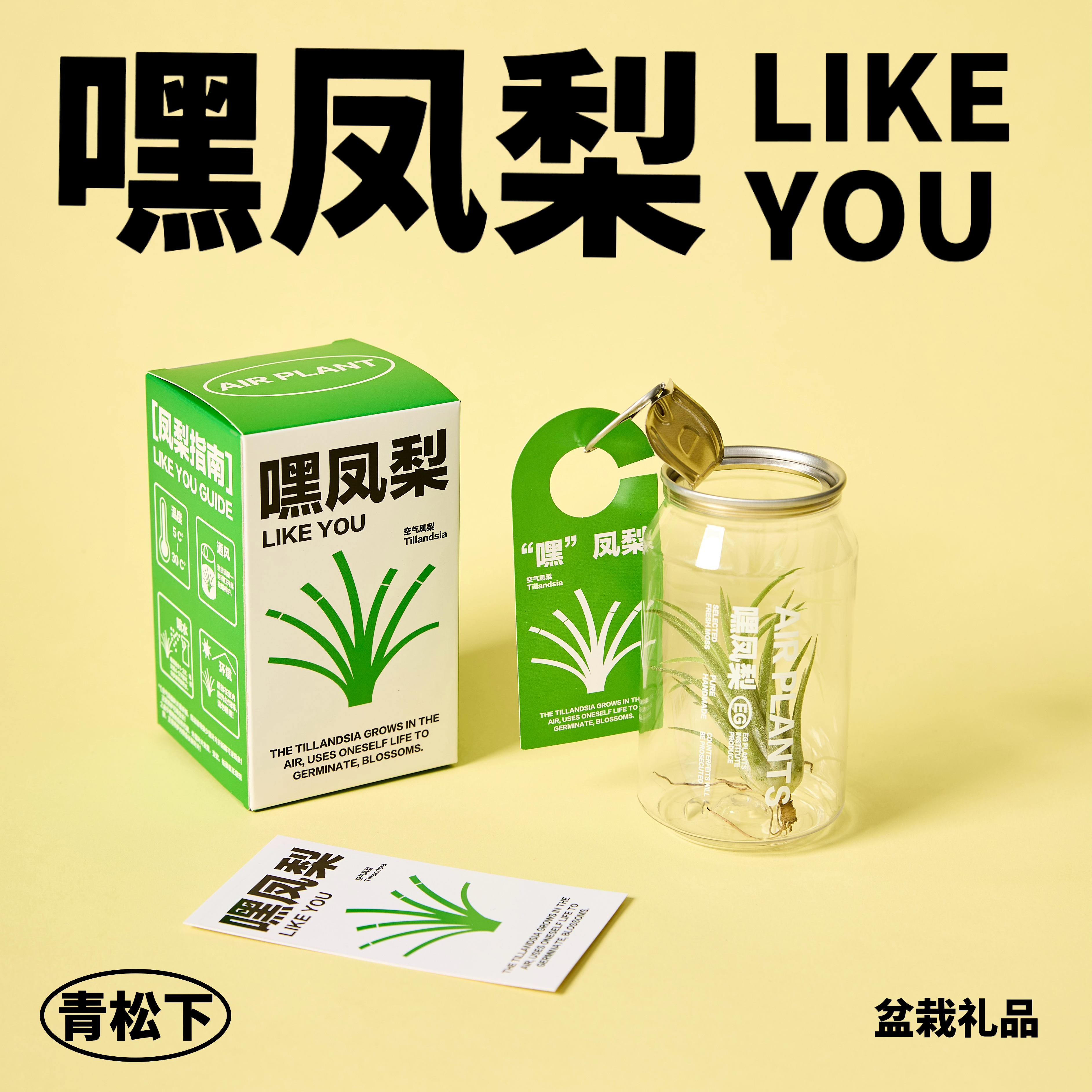 送你一罐嘿凤梨LIKEYOU