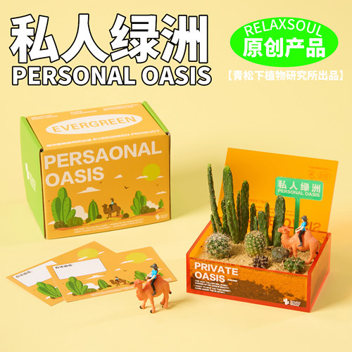 私人绿洲仙人掌创意盆栽