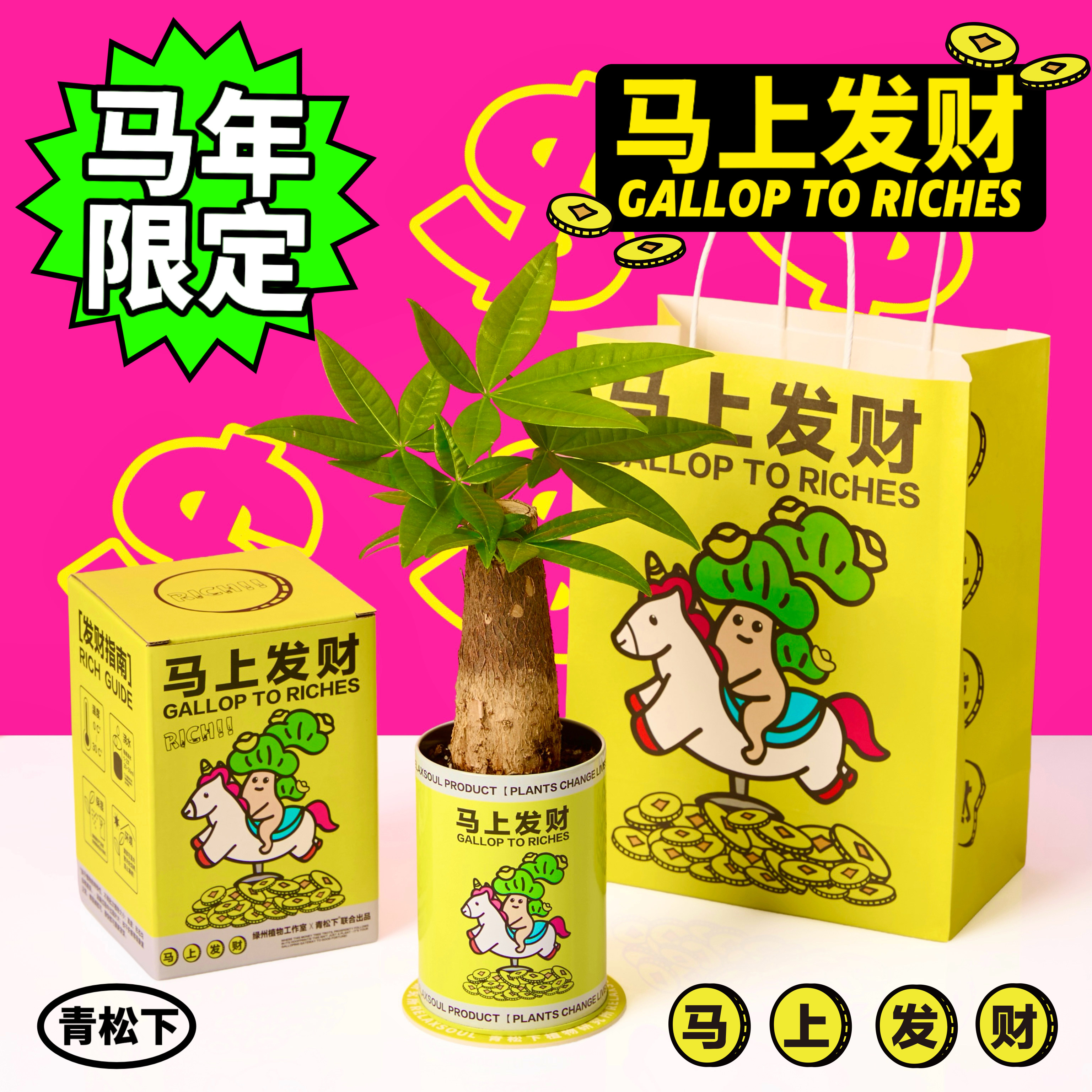 青松下-马上发财 发财树盆栽室内办公桌绿植情绪植物好养创意礼物,鲜花速递/花卉仿真/绿植园艺,绿植,淘宝优惠券,粉丝福利购,淘宝优惠卷