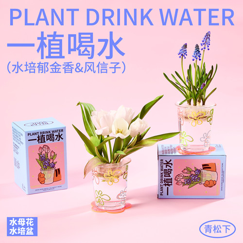 一植喝水创意水培盆栽
