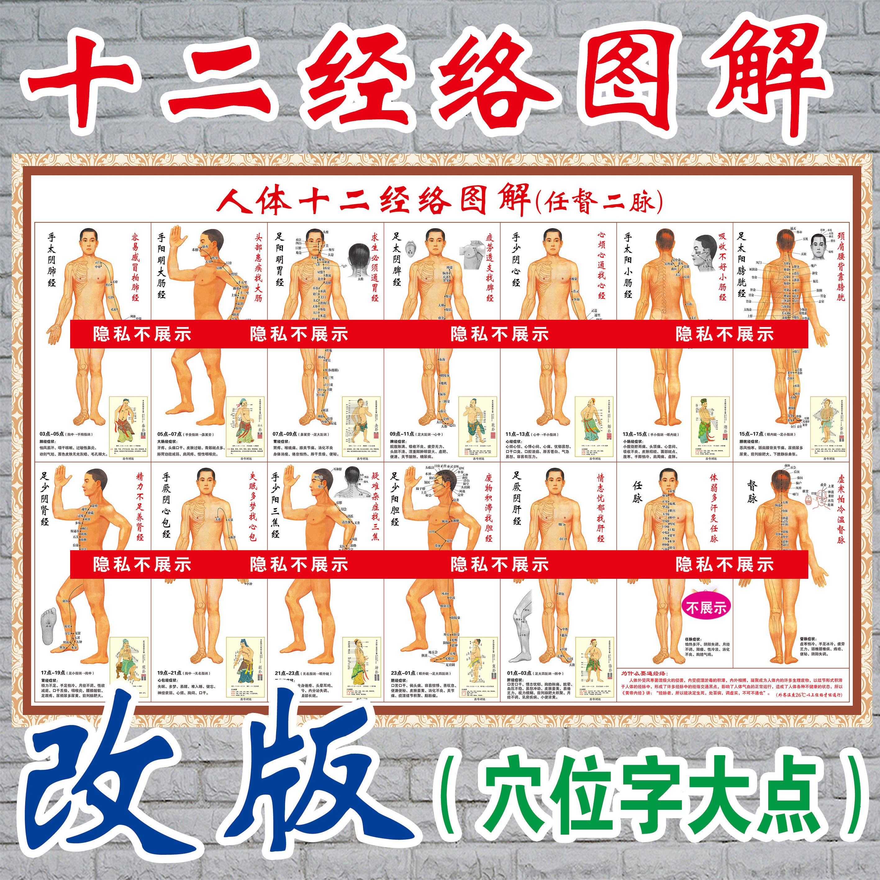 人体十二12经络穴位图解任督二脉中医养生保健穴位挂图海报贴写真
