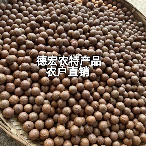 云南德宏坚果去青皮夏威夷果当季坚果农户自种自销