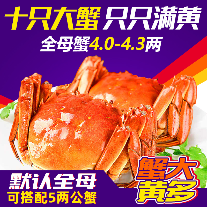 活蟹现货10只特大大闸蟹官方旗舰鲜活全母蟹阳澄湖镇螃蟹河蟹礼盒