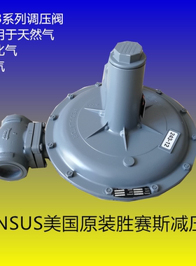 SENSUS胜赛斯减压阀243-12燃气调压阀DN50燃气调压器 美国原装
