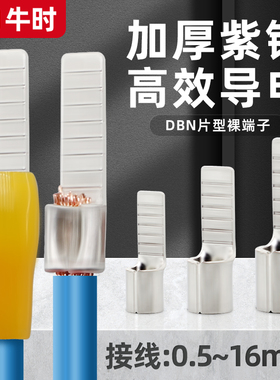 DBN1.25/2/5.5/8/14-10/片形紫铜冷压接线端子裸端头线鼻子1000只