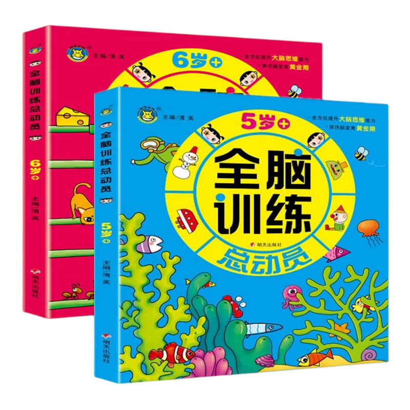 5-6岁全脑开发思维训练早教书籍