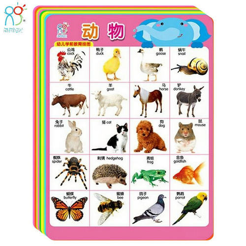 幼儿学前教育挂图 0-3-6岁儿童早教大挂画书籍宝宝认知动物蔬菜交通工具数字拼音识字启蒙卡片唐诗儿歌三字经挂图1岁2岁图书撕不破 - 封面
