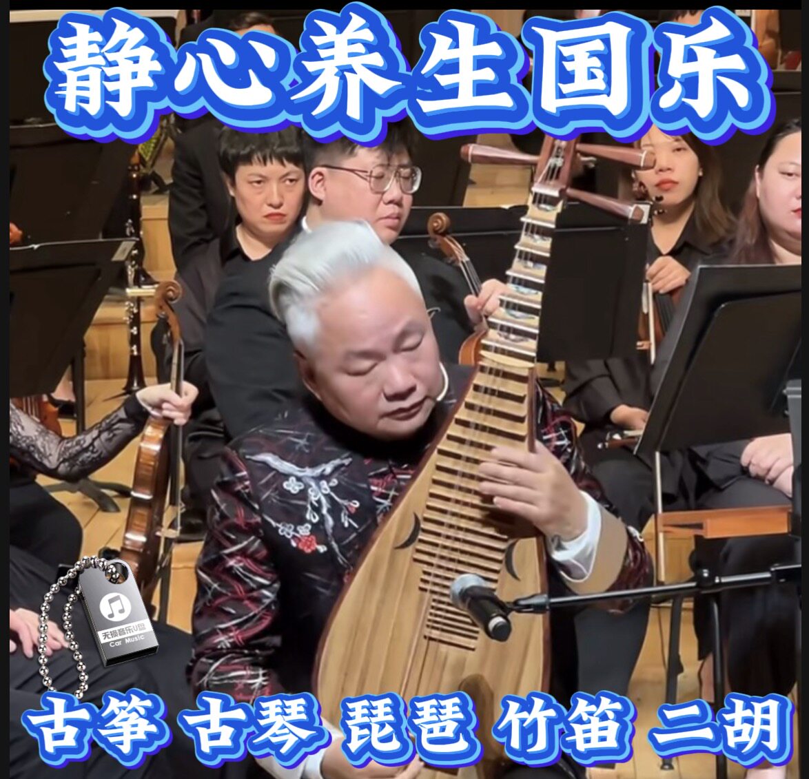 国乐古筝琵琶古琴竹笛养生五音疗愈音药无损茶室mp3车载音乐优U盘