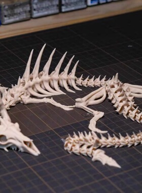 3D打印可动骷髅龙骨龙铰链式玩具桌面装饰创意礼物鱼缸造景摆件