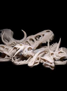 3d打印恐龙头骨蛇头鱼缸爬宠生态造景快速成景废土沙漠风格躲避屋