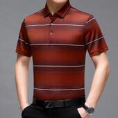 装 夏季 桑蚕丝爸爸袖 T中青年男领士短恤翻宽松条纹薄款 恤体 21502