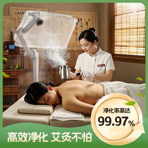 艾灸烟雾净化器家用移动排烟机