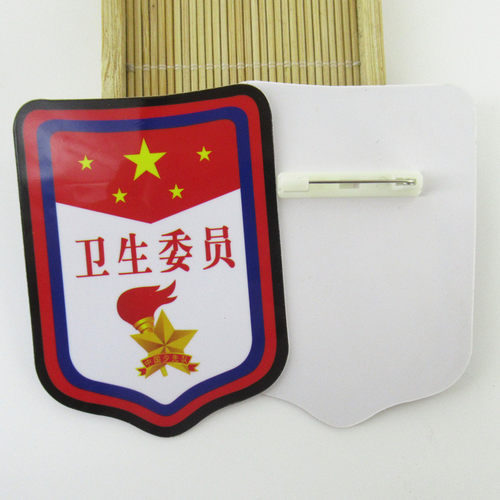 卫生委员臂章胸牌牌子少先队员班干部徽章别针袖标小学生干部袖章