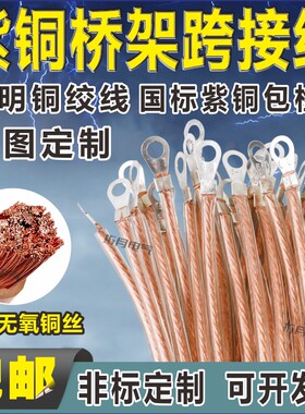 铜跨接线铜绞线包塑桥架接地线
