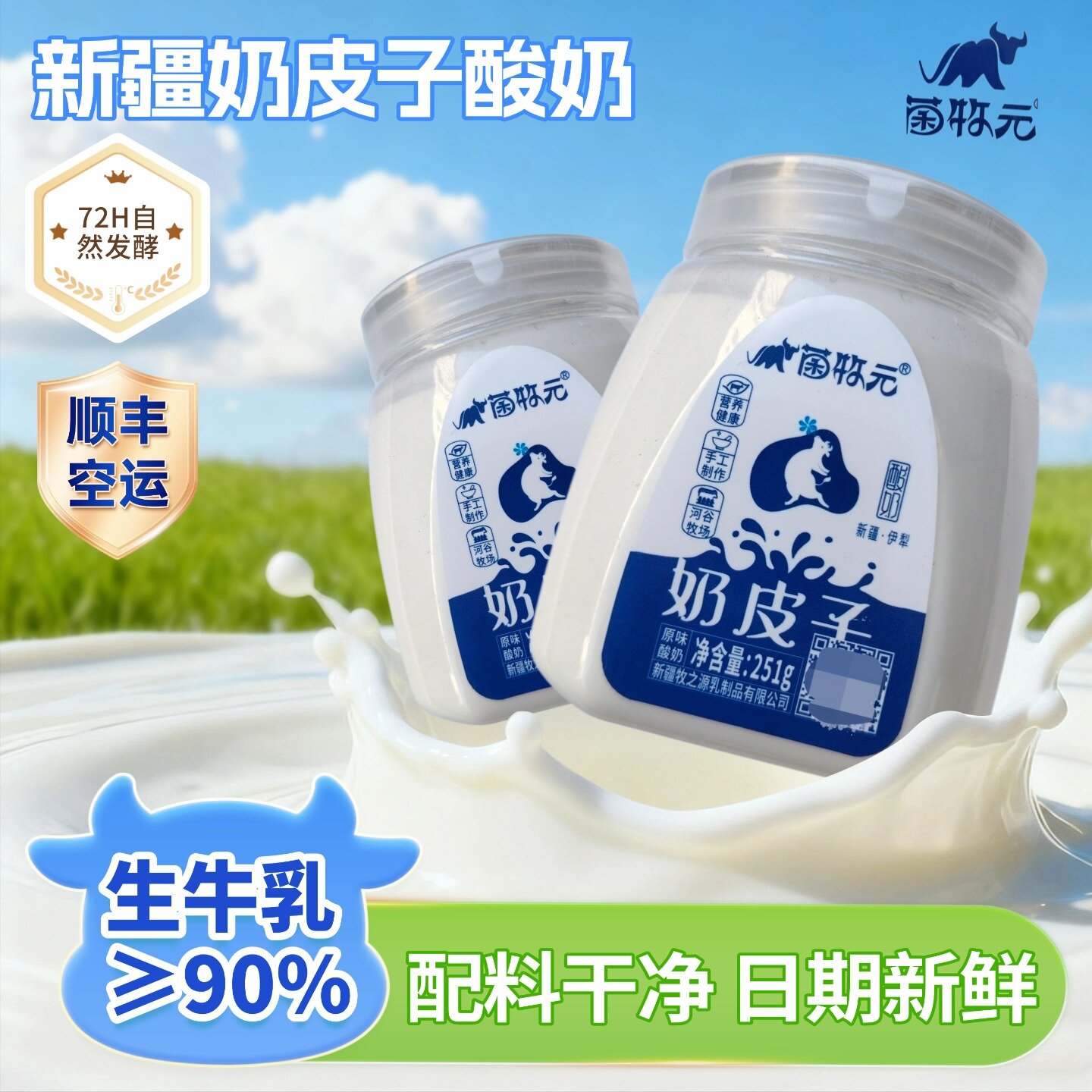 新疆特产菌牧元奶皮子酸奶