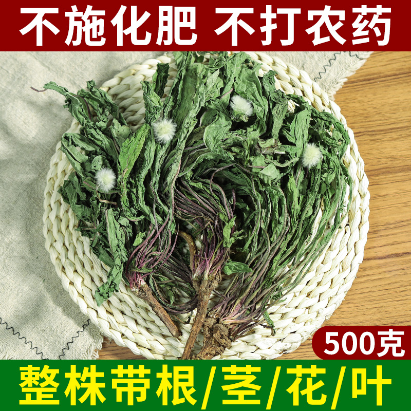 野生整株蒲公英500g煮茶泡水新茶