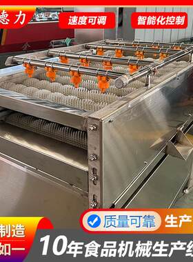 高粱杆全自动清洗机器 甘蔗连续式毛刷清洗机 粽叶不锈钢清洗设备