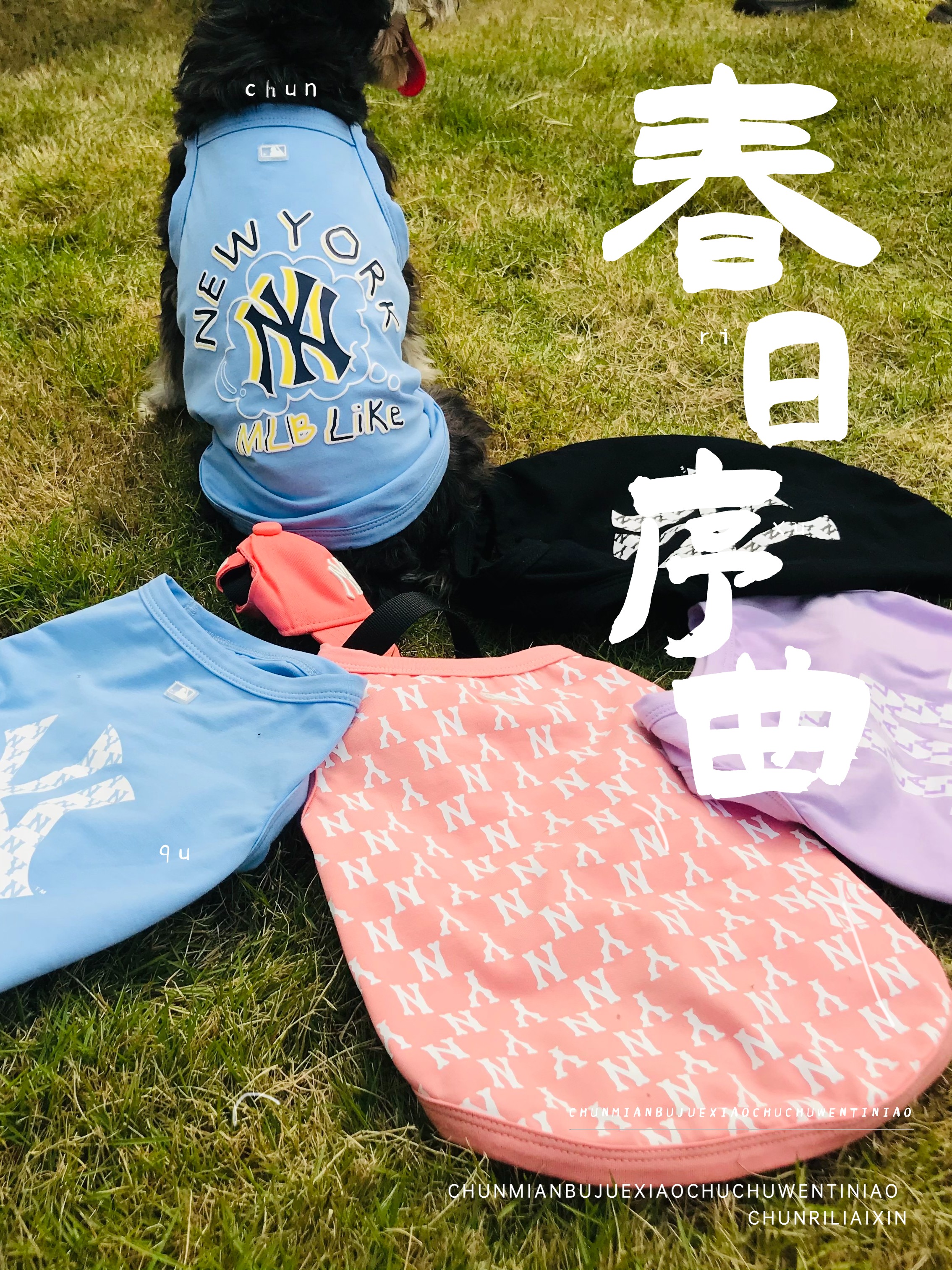 宠物猫狗衣服小中大型犬
