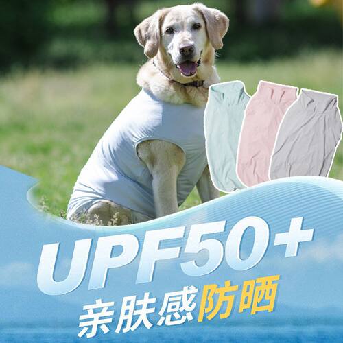 贝欧beow宠物狗狗衣服夏季薄款雪纳瑞边牧犬防晒背心小中大型犬
