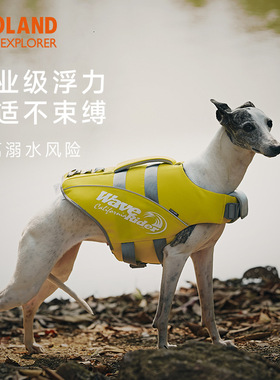 zooland宠物救生衣泳衣欧美狗狗游泳衣服宠物衣服小中大型犬金毛