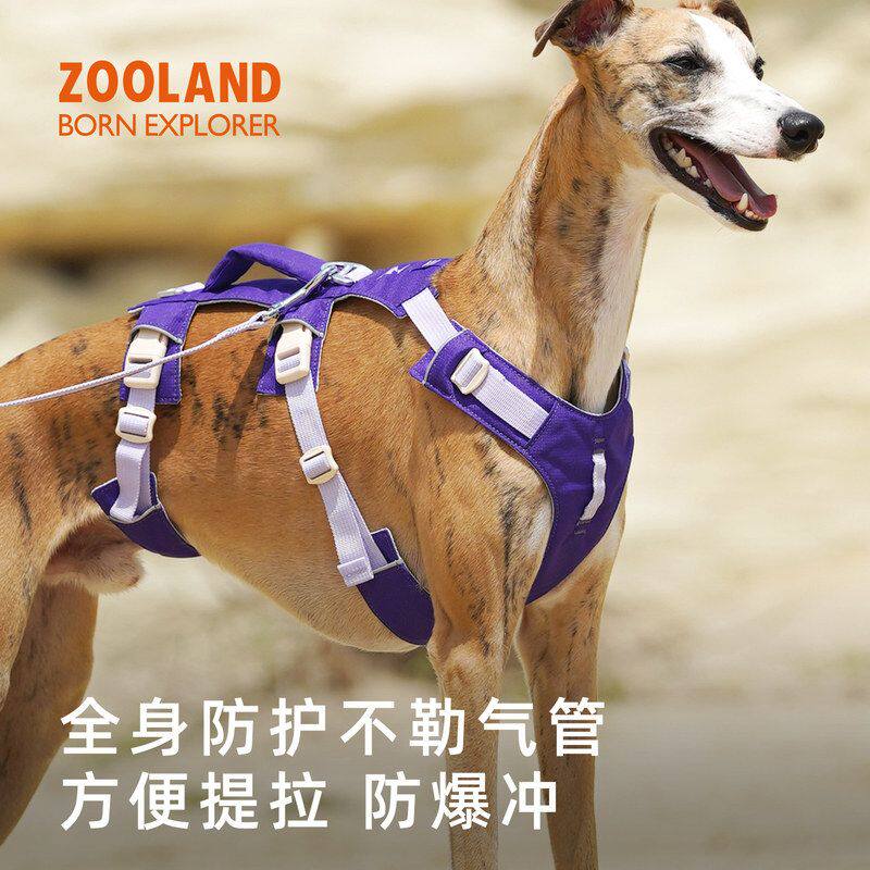 中大型犬小可提拉牵引绳胸背狗图片