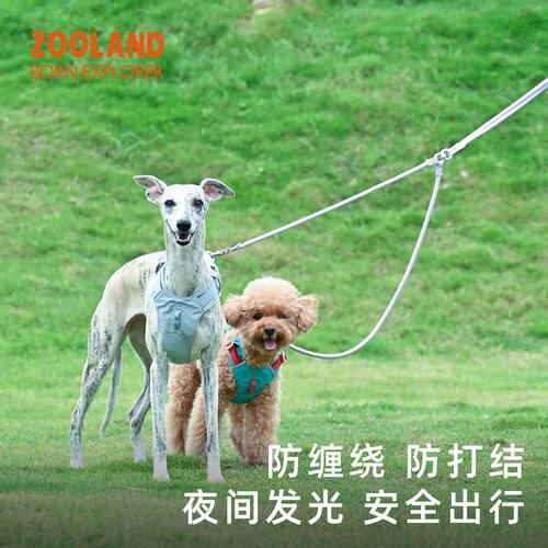 ZOOLAND一拖二遛狗双头牵引绳