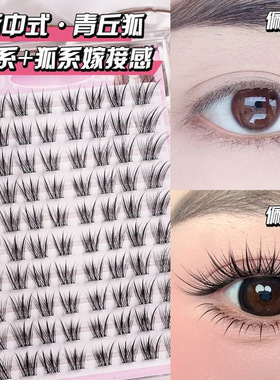 免胶新中式原创狐自然青丘狐上镜涂山狐浓密斜飞分段睫毛漫画睫