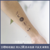 网红草本日月星球简约果汁纹身贴刺青色保持2周洗不掉男女 2张