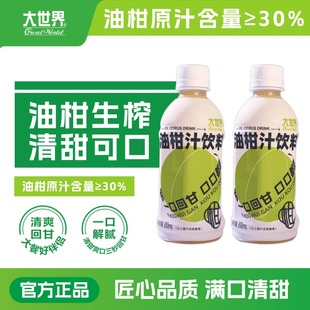 大世界橄榄油甘汁饮料余甘子300毫升12瓶果汁常温柠檬茶咖啡调配