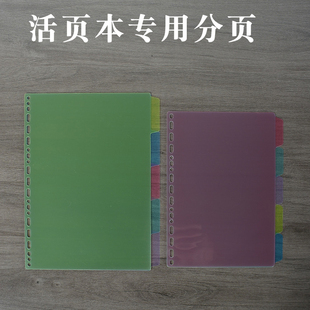 活页本隔页纸A4 B5 A5塑料分页纸 26孔 三孔四孔32孔分类索引纸
