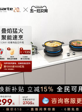 卡萨帝致境燃气灶煤气灶家用灶台猛火灶炉灶天然气灶CDZ5U9