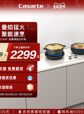 卡萨帝揽光小炫风燃气灶煤气灶家用灶台猛火灶炉灶天然气灶CDZ5U9