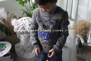 秋冬新品童装男儿童虎头刺绣加绒加厚套头卫衣打底衫长袖潮
