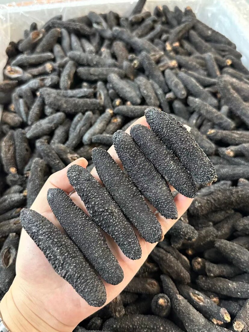 土耳其毛刺参 澳洲淡干海参米刺参干货野生黑刺参非辽参酒店礼盒