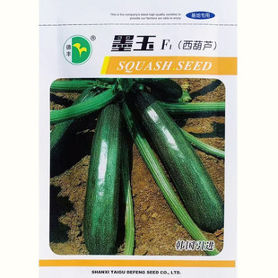 墨玉西葫芦种子耐热四季高产亮绿长棒形角瓜种籽肉细脆甜占瓜种子