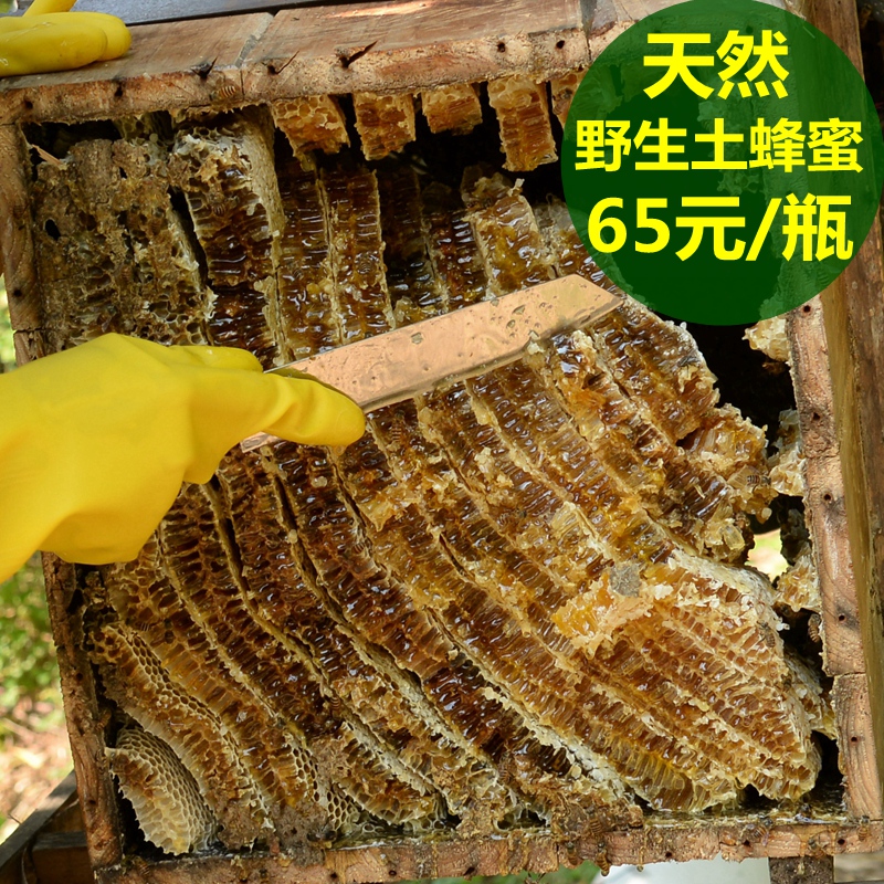 土蜂蜜纯正天然农家自产野生百花蜜自家养原蜜500g孕妇儿童可吃