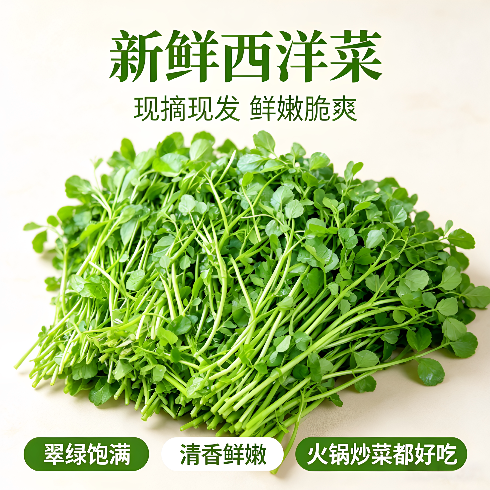 贵州高山农家现摘西洋豆瓣菜