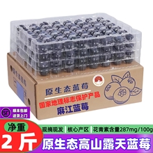 蓝莓新鲜水果当季整箱蓝莓鲜果5斤新鲜大果2斤高山露天原生态1斤
