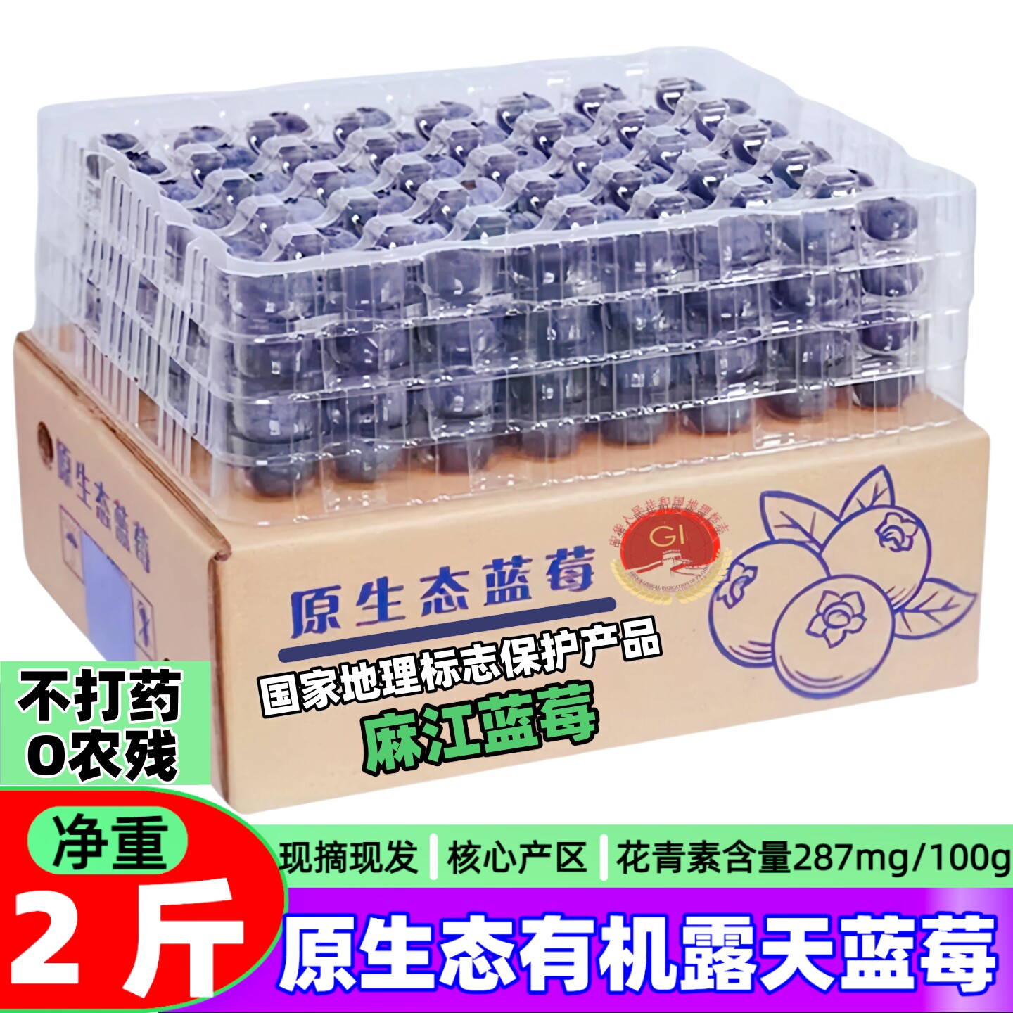 蓝莓新鲜水果露天高山蓝莓鲜果当季水果蓝莓原生态有机种植特大果