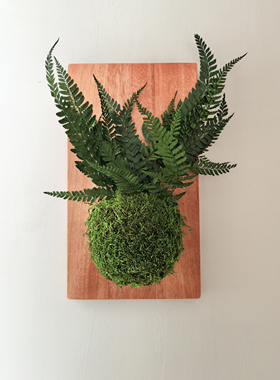 永生苔藓蕨类苔玉球壁挂装饰