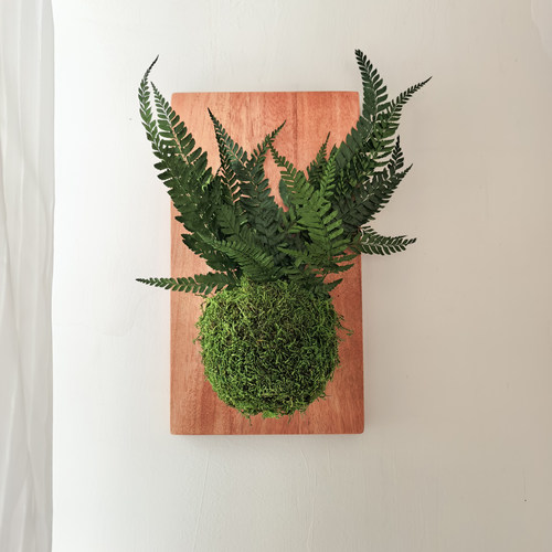 永生苔藓蕨类苔玉球壁挂装饰