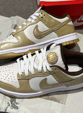 先锋运动 Nike Dunk Low LX 舒适百搭防滑耐磨低帮板鞋HM3695-071