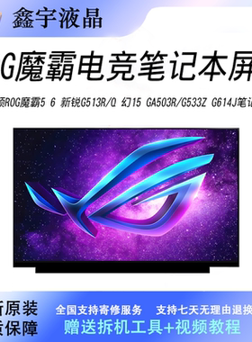 适配华硕ROG魔霸56新锐G513R/Q幻15GA503R/G533Z G614J笔记本屏幕