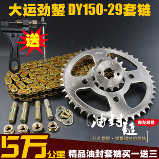捷安特适配大阳DY150-38枭勇油封链条链盘套装大运150-29劲錾套链