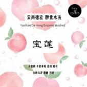 新产季 宝莲5.0蜜桃乌龙云南德宏一念酵素水洗100g咖啡豆