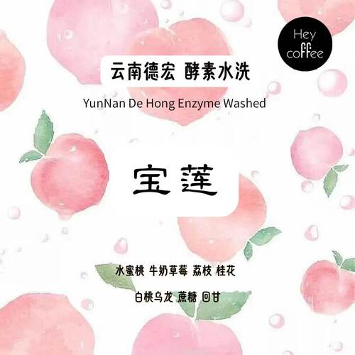 新产季宝莲5.0蜜桃乌龙云南德宏一念酵素水洗100g咖啡豆