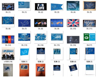 Lions Flag亚马逊WISH Detroit 外贸货源底特律雄狮旗帜NFL EBAY