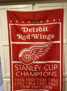 外贸货源底特律红翼NHL Detroit Red Wings Flag亚马逊WISH EBAY