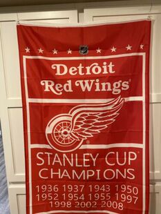 Wings 外贸货源底特律红翼NHL Red EBAY Detroit Flag亚马逊WISH