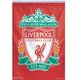 外贸货源足球Liverpool Flag Fc球迷酒吧世界杯旗帜车旗Soccer